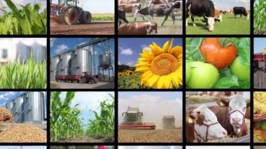 Tarım footages kolaj