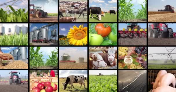 Material agrícola en collage — Vídeo de stock