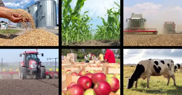 Material agrícola en collage — Vídeo de stock