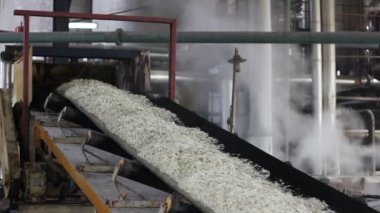 Konveyör çizgi taşıma