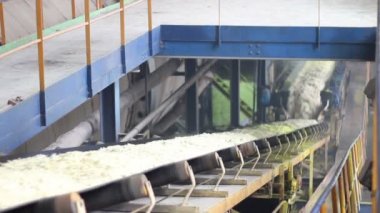 Konveyör çizgi taşıma