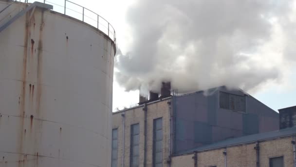Roken van schoorstenen op suikerfabriek — Stockvideo