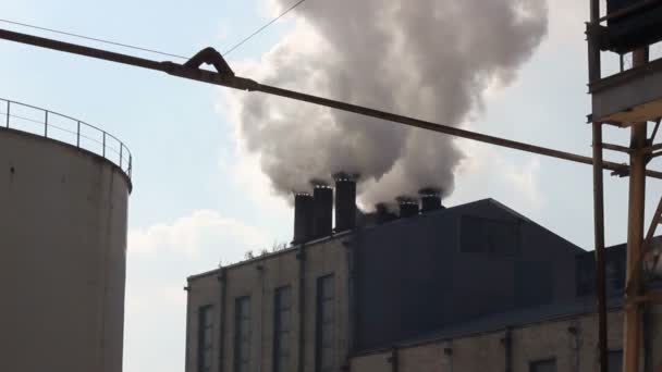 Humo de las chimeneas en la fábrica de azúcar — Vídeos de Stock