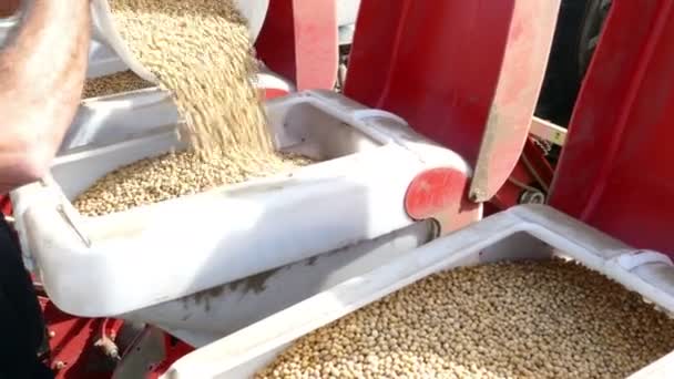 Mãos masculinas derramando sementes em semeadora — Vídeo de Stock