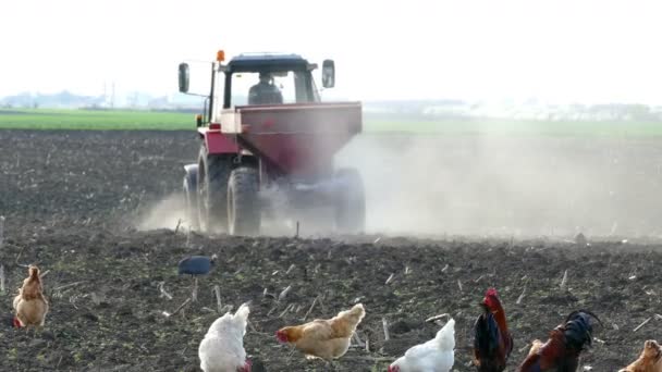 Campo di fertilizzazione del trattore — Video Stock