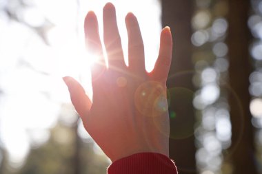 Kadın eli güneşe dokunur, güneş ışığı parmaklarının arasından geçer, gün batımında çam ormanı dağı, parlayan güneş ve ağaçların dalları, mevsimlik yolculuk doğası
