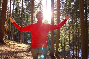 Genç bir kadın çam ormanları dağlarında gün batımının tadını çıkarıyor. Mutlu bir kadına yakın olmak kollarını ve parlak güneşini açıyor. Çam ağaçlarının dalları, mevsimlik yolculuk doğası.
