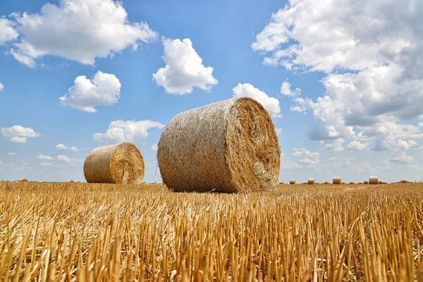Getreidestrohrollen Auf Einem Feld Nach Der Weizenernte Landwirtschaftlichen Betrieb Landschaft — Stockfoto