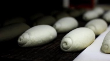 Somun ekmek fırını