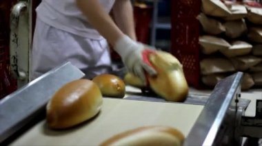 Fırıncı hamur yoğurdu