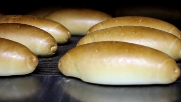 Печёный хлеб в пекарне — стоковое видео