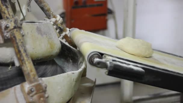 Maken van een broden in de bakkerij — Stockvideo