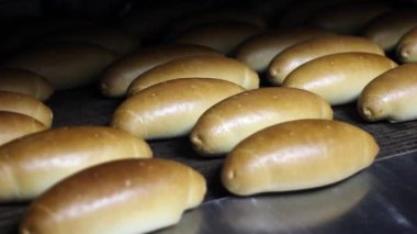 Bir fırın ekmek fırında somun