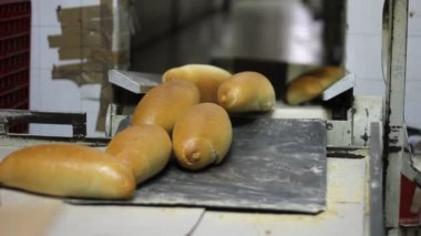 sadece fırın dışarı Bakes