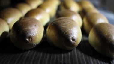 pişmiş somun ekmek fırını içinde