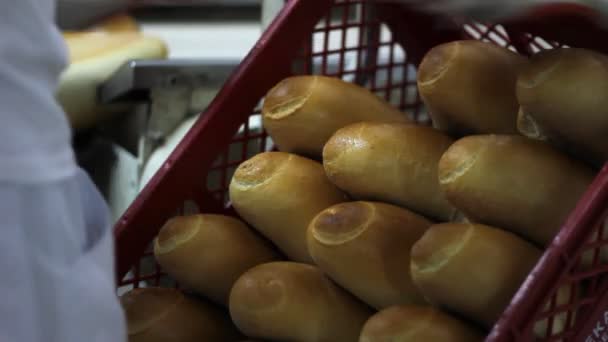 Packing baked loaves of bread — Stock Video