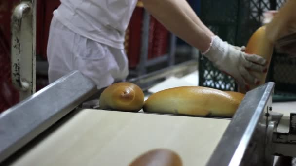 Embalagem pães cozidos no forno — Vídeo de Stock