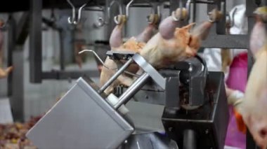 Gıda işleme fabrikası