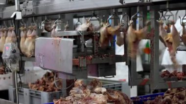 Gıda işleme fabrikası