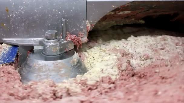 Смешивание мяса и специй — стоковое видео