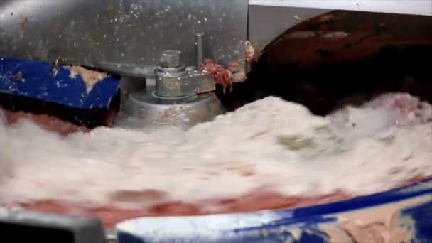 Miscelazione di carne e spezie — Video Stock