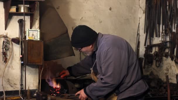 Herrero preparando hierro brillante en el fuego — Vídeos de Stock