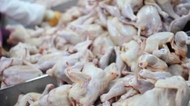 Gıda işleme fabrikası