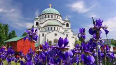 Güzel çiçekler ve Aziz Sava Tapınağı