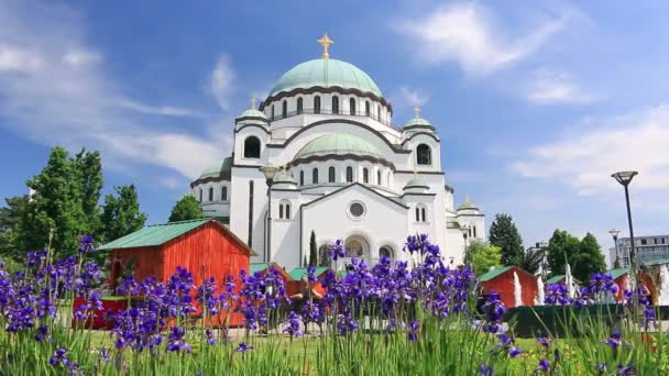 Beautiful Flowers and Temple of Saint Sava — Stock Video
