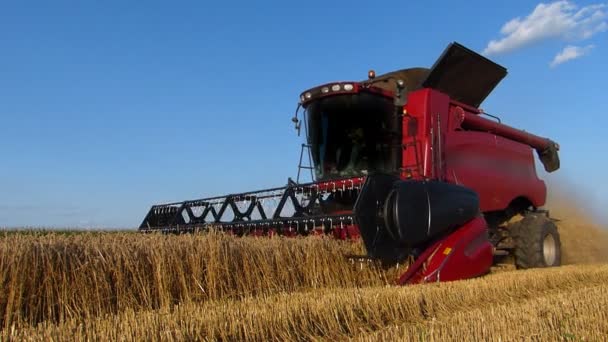 Récolte de blé, Combiner en action 