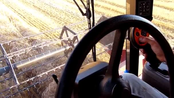 Cosecha de trigo, combinar en acción en cámara lenta — Vídeo de stock