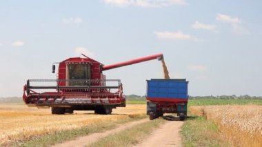 Buğday hasat, birleştirmek içinde hareket