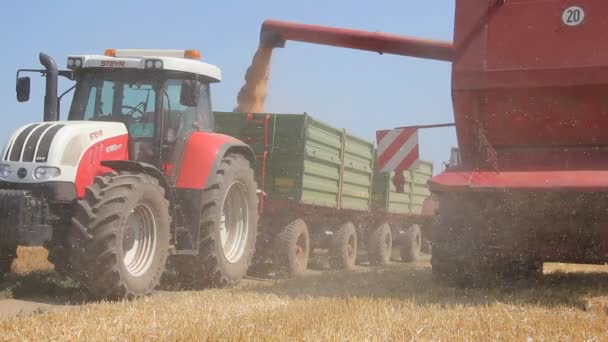 Урожай пшеницы, Комбинат в действии — стоковое видео