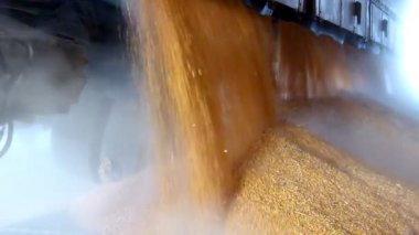 Boşaltma Mısır tane tır bir silo içinde gelen