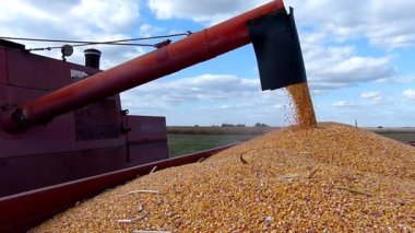 Hasat Mısır, ağır çekim birleştirmek