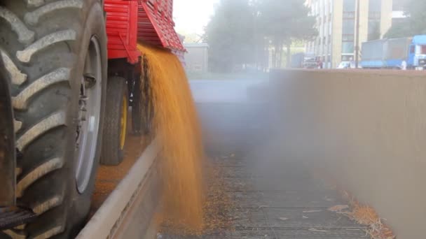 Maïs in de silo geladen — Stockvideo