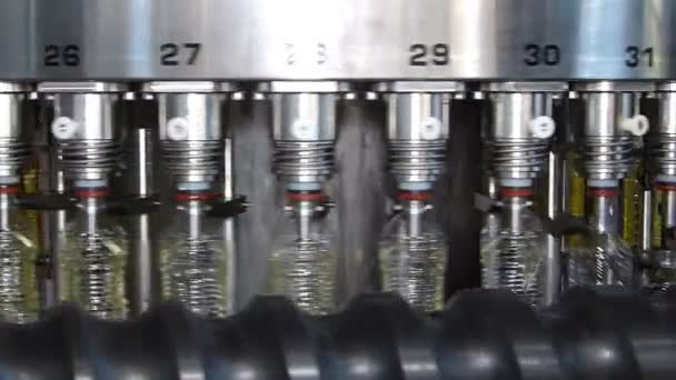 Sunflower Oil Filling Machine — Stock Video