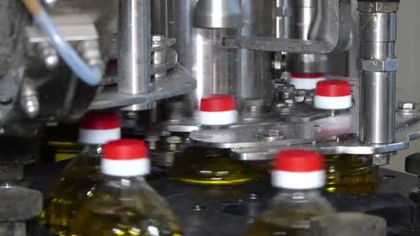 Máquina de llenado de aceite de girasol — Vídeo de stock