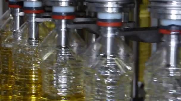 Máquina de llenado de aceite de girasol — Vídeo de stock