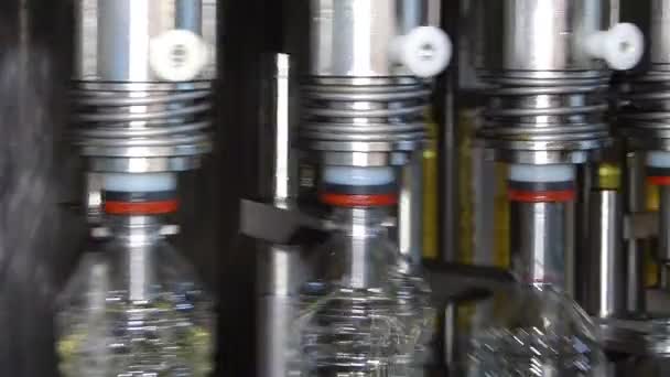Máquina de enchimento de óleo de girassol — Vídeo de Stock