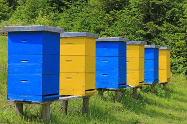 Beehives in a meadow clipart
