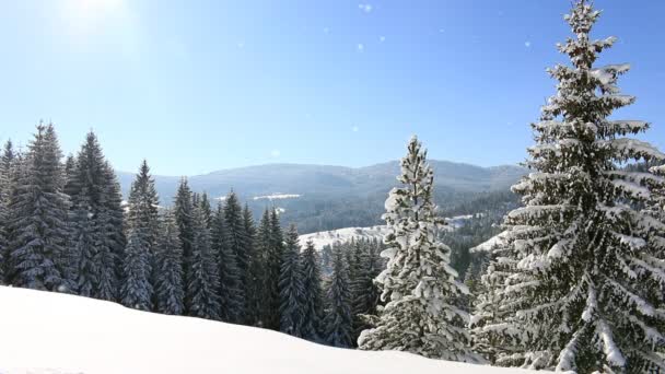 Зимний пейзаж со снежинками на горе — стоковое видео