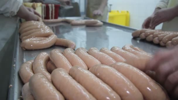 Traditionelle Wurst in Fleischfabrik — Stockvideo