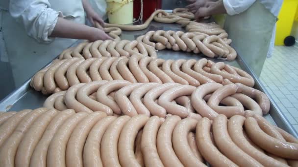 Traditional sausage in meat factory — Stock Video