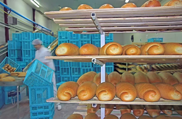 Fresh baked bread — Stock Photo, Image