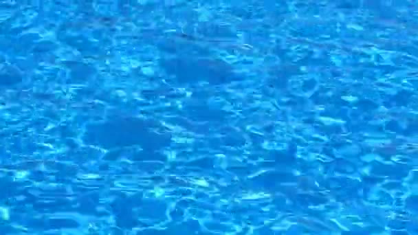 Agua en la piscina — Vídeo de stock