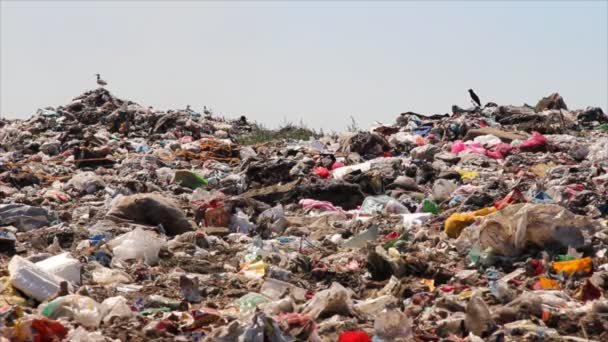Сброс мусора в атмосферу — стоковое видео
