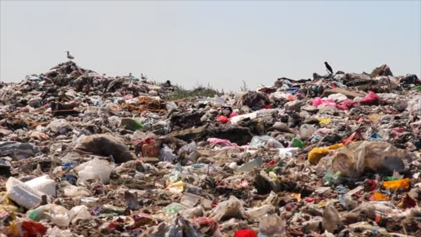 Pollution déversement des ordures 