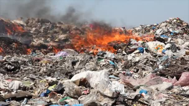 Pollution dumping of garbage — Stock Video