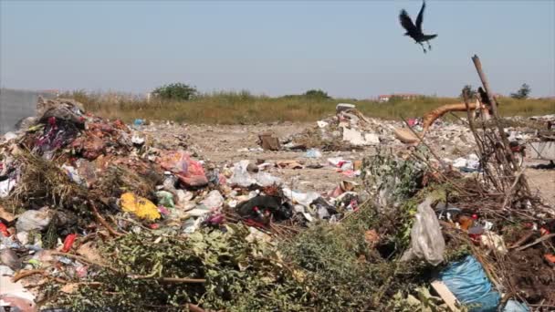 Pollution dumping of garbage — Stock Video